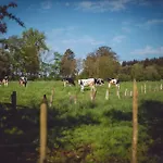 Le Domaine De Hotel Bra