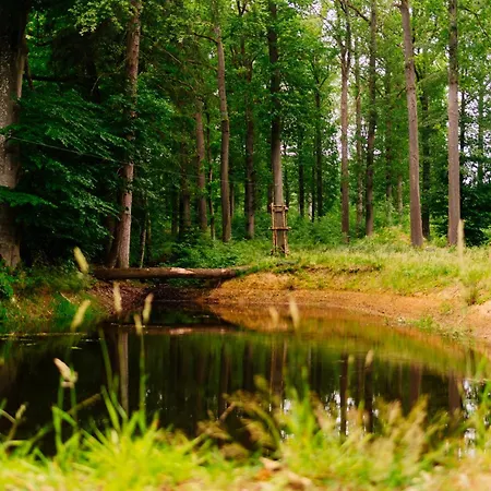 Le Domaine De فندق Bra