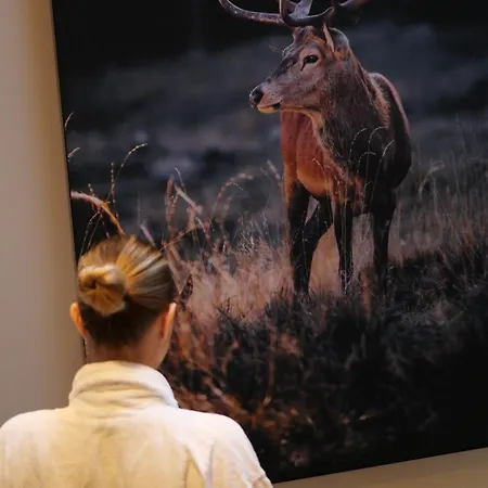 Le Domaine De فندق Bra