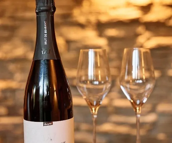 Hotel Le Domaine De Bra