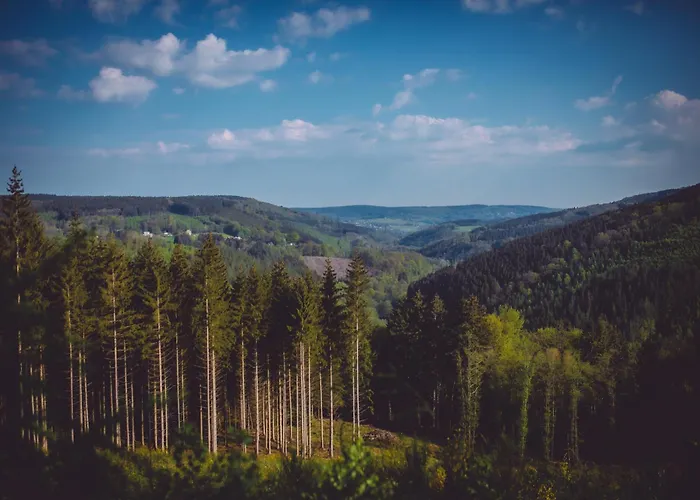 Le Domaine De 3* Bra