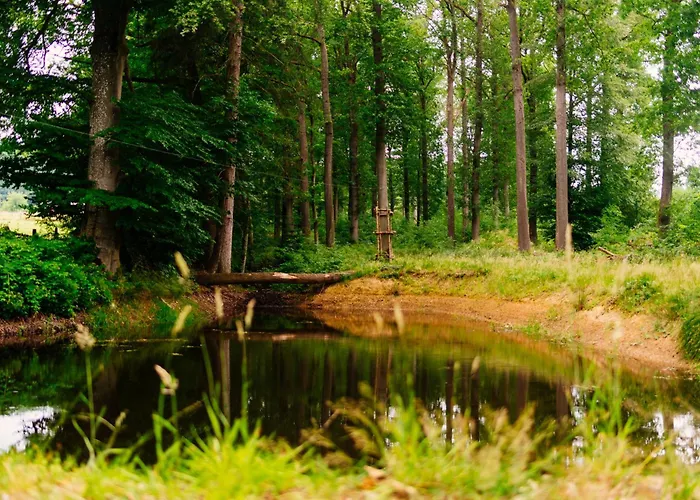 Le Domaine De Hotel Bra