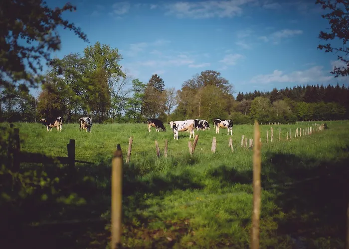 Le Domaine De Hotel Bra